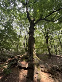 Foto von Reti Alicia entlang der Tour
