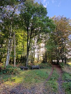 Zdjęcie z DevilsBastard wzdłuż trasy