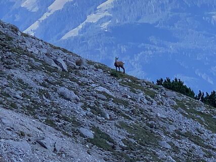 Foto von Martin Weichbold entlang der Tour