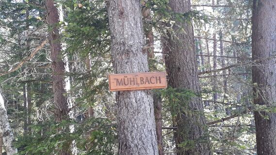 Reitherjoch Alm