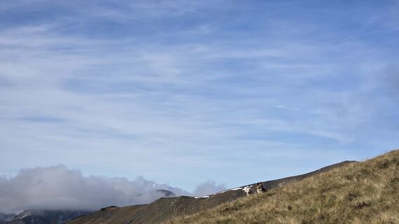 Fotografia z V Feurstein na trase
