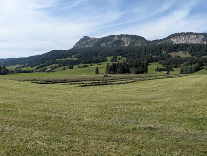 Foto von Arne Schlieder entlang der Tour