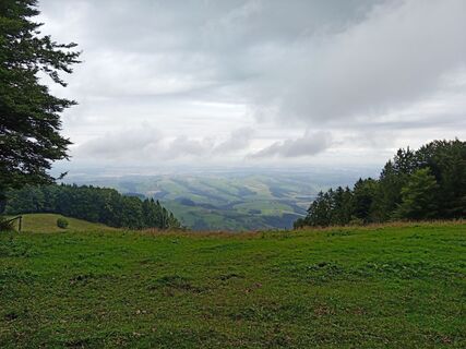 Foto da Wanderkatze lungo il tour