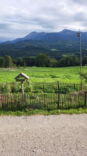 Fotografie z deutzdriver na trase