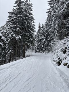 Foto från Heinz Sperl under resans gång