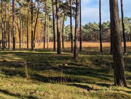 Foto von Matje Derks entlang der Tour