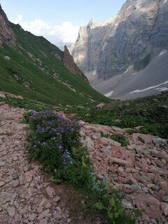 Photo de Dagmar Hofer le long du parcours