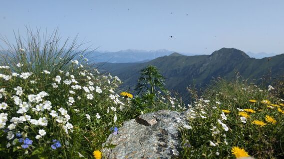 Foto von Klaus Lehner entlang der Tour