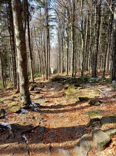 Foto de poettl a lo largo del recorrido
