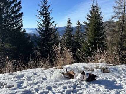 Foto von Car Wanderfreude entlang der Tour