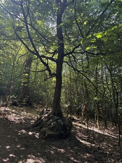 Foto de István Rab a lo largo del recorrido