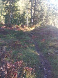 Photo de Christian Priller le long du parcours