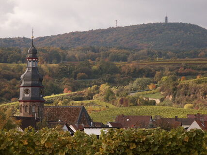 die Kallstadter St. Salvatorkirche vor der Weinlage Saumagen und dem Bismarckturm im nahen Pfälzerwald