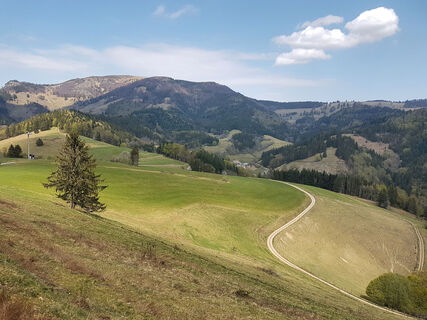 Weitblicke