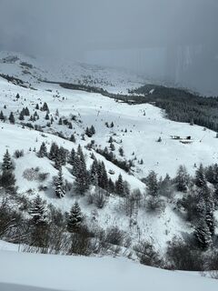 Foto de KWe aus Altlußheim a lo largo del recorrido