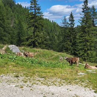Foto von SebastianB entlang der Tour