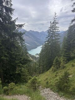 Fotografija s spletne strani Thomas Wally na poti