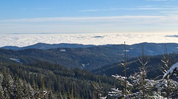 Fotografie z Karl Kriegseisen na trase
