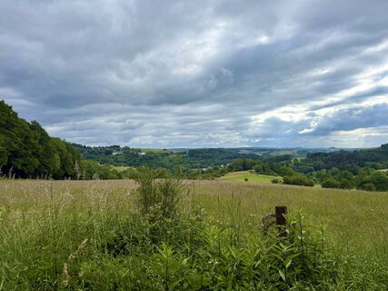 Photo de CT le long du parcours