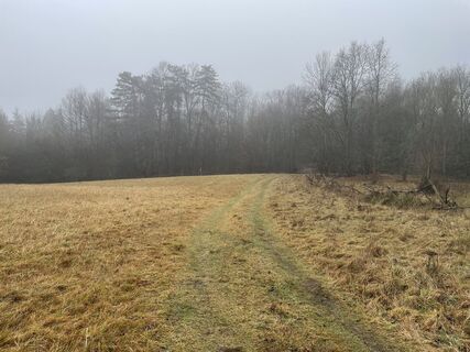 Fotografija s spletne strani Bacskai János na poti