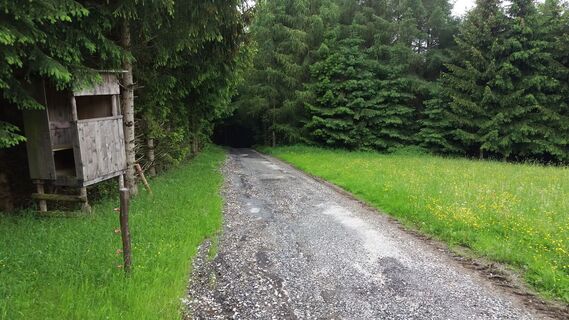 Höhenwanderung_Hochtregister_Berg_Hocheggerweg