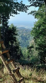 Foto von Gy. Adam entlang der Tour