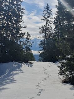Zdjęcie z Tobi wzdłuż trasy