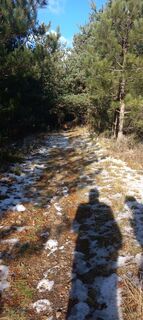 Fotografija s spletne strani Jerome jourda na poti