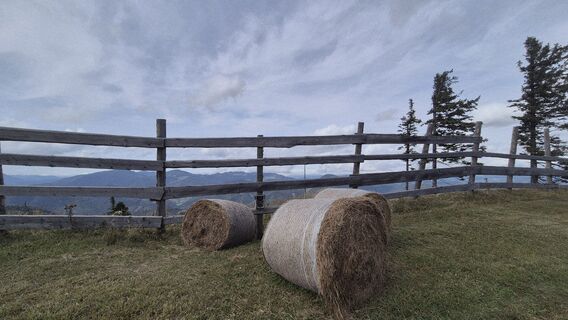Foto från Patrick82 under resans gång