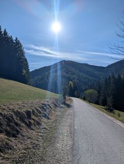 Zdjęcie z s3ns3 wzdłuż trasy