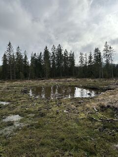 Fotografia z Babs Holz na trase