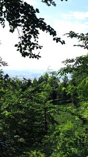 Foto fra Anita Lunzer 1 undervejs på turen