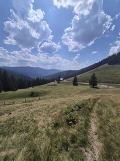 Foto von Tobias Koch 1 entlang der Tour