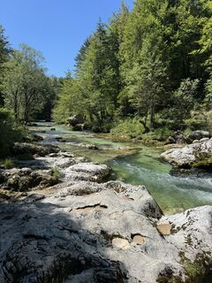 Foto von Borsos K entlang der Tour
