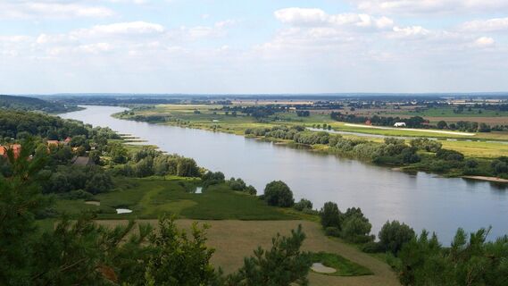 Blick auf die Elbe