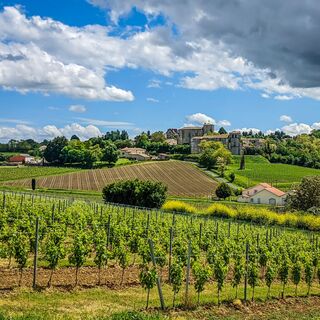 Vue_sur_le_village_-_Pujols_-_OTCP_E_Gaye_2021