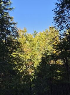 Foto de Eveline Hechenberger a lo largo del recorrido