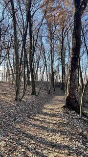 Zdjęcie z Dazza wzdłuż trasy