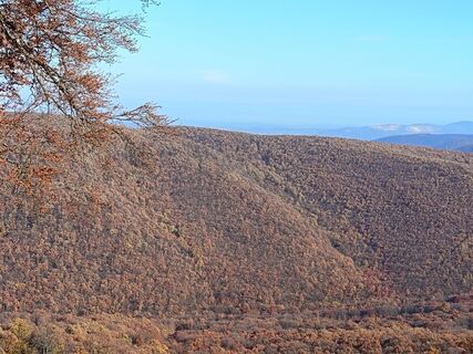 Photo de Julika Jármer le long du parcours