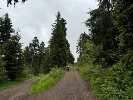 Photo de Peter Kessinger le long du parcours