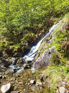 Fotografie z Nicolas Canal na trase