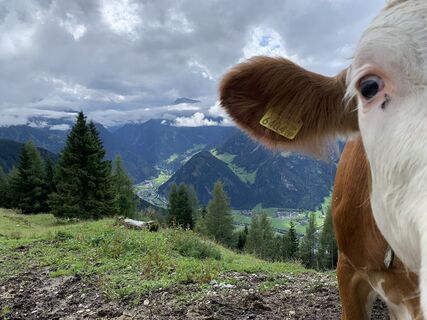 Fotó a Koen De Wit honlapról a túra során