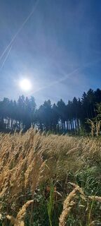Fotografija s spletne strani Anita Lunzer 1 na poti