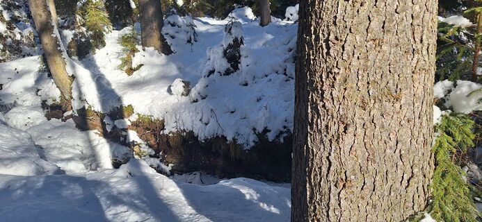 Fotografija s spletne strani Erich Fornetran 1 na poti