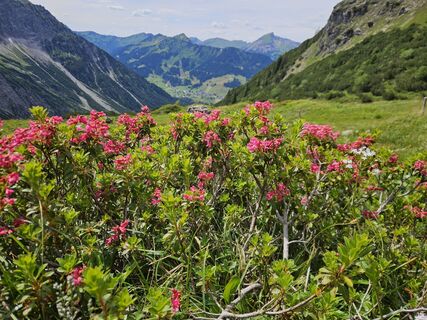 Mindelheimer Klettersteig