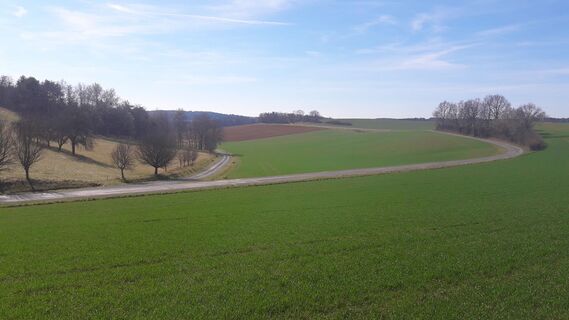 .. dann gleich links