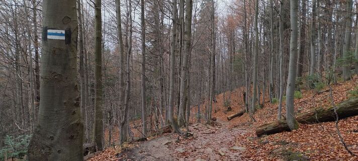 Foto de Sylwiasuchy76 a lo largo del recorrido