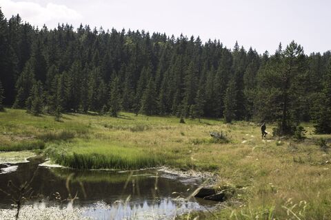 Карта