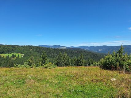 Foto van Katharina langs de tour