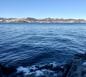 Foto von Natur_erleben_dg entlang der Tour